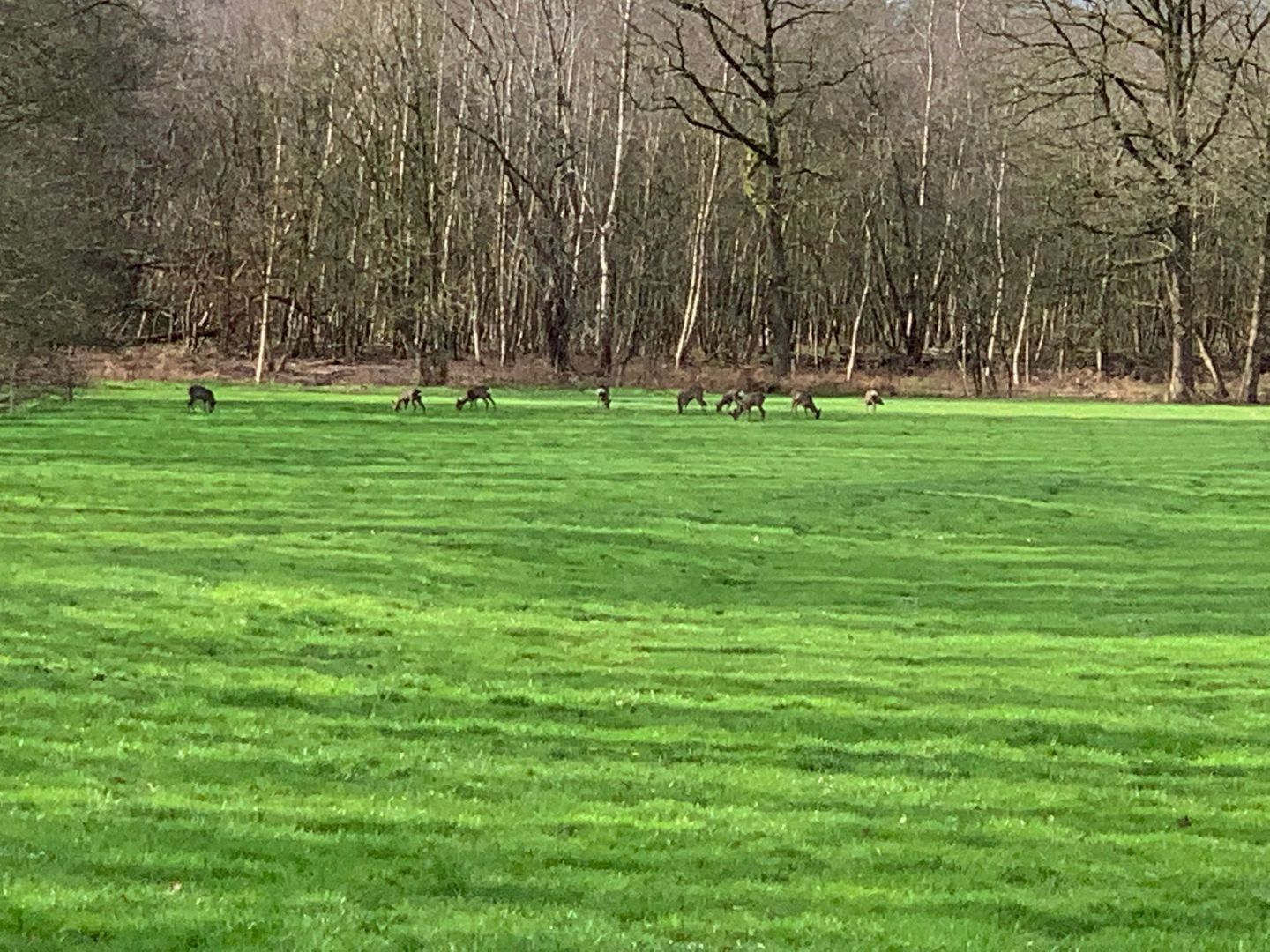 Binnenweg 3, Eesveen foto-89