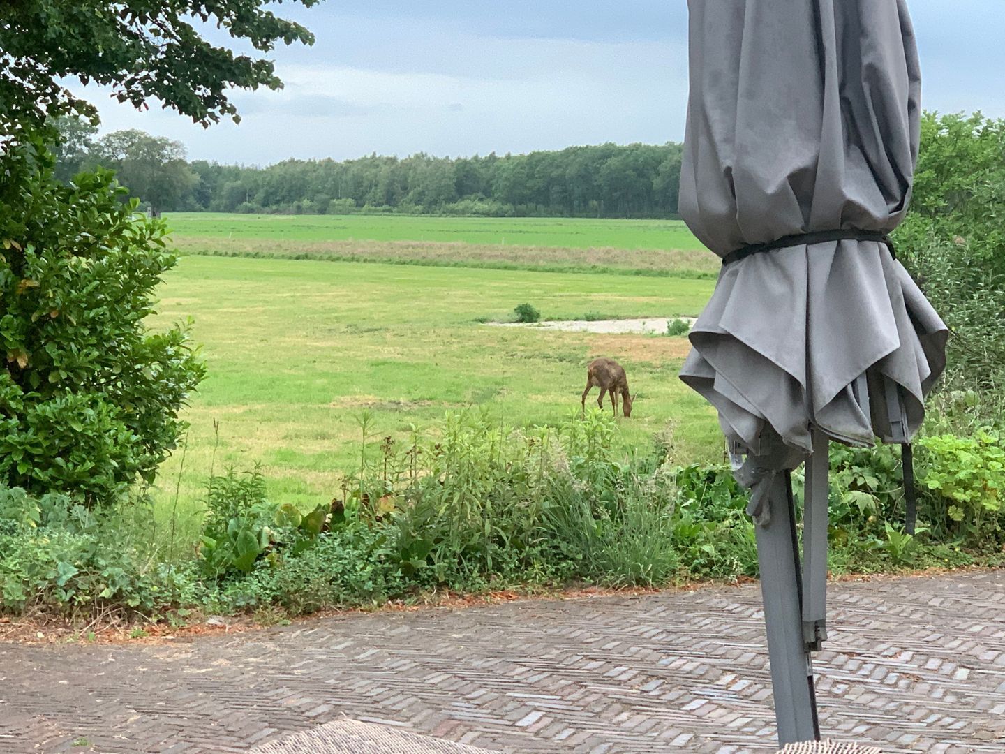 Binnenweg 3, Eesveen foto-88