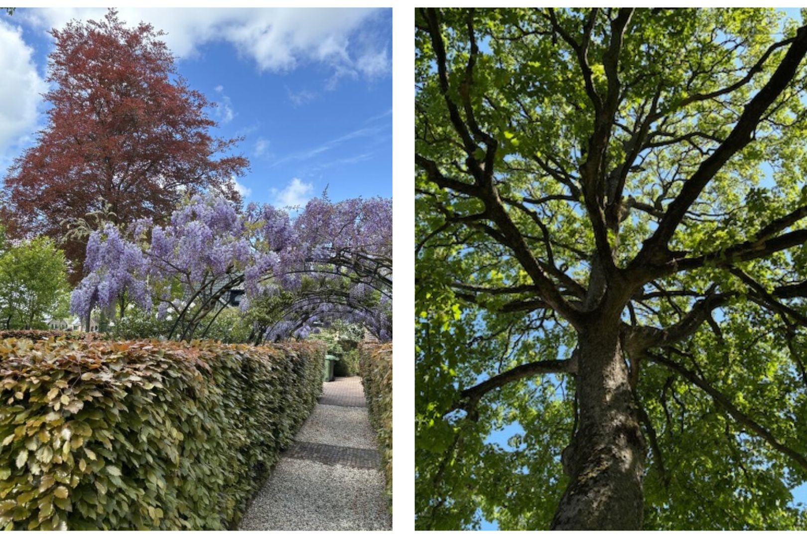 Dorpsstraat 29, Havelte foto-61
