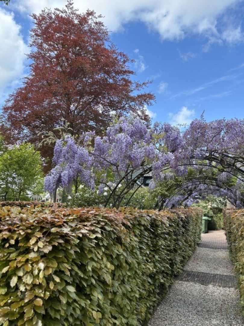 Dorpsstraat 29, Havelte foto-61