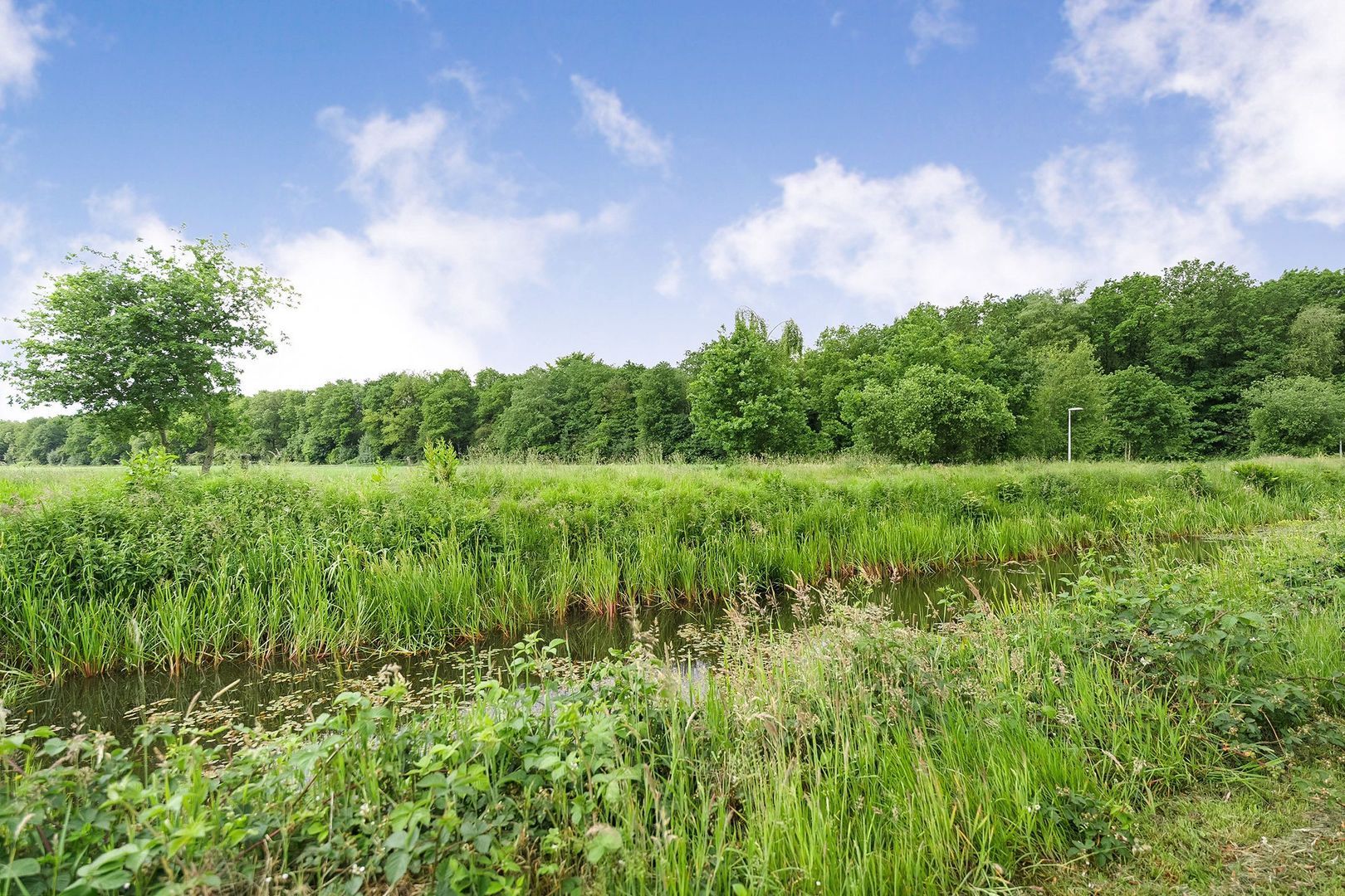 Paaskamp 13, Noordwolde foto-56