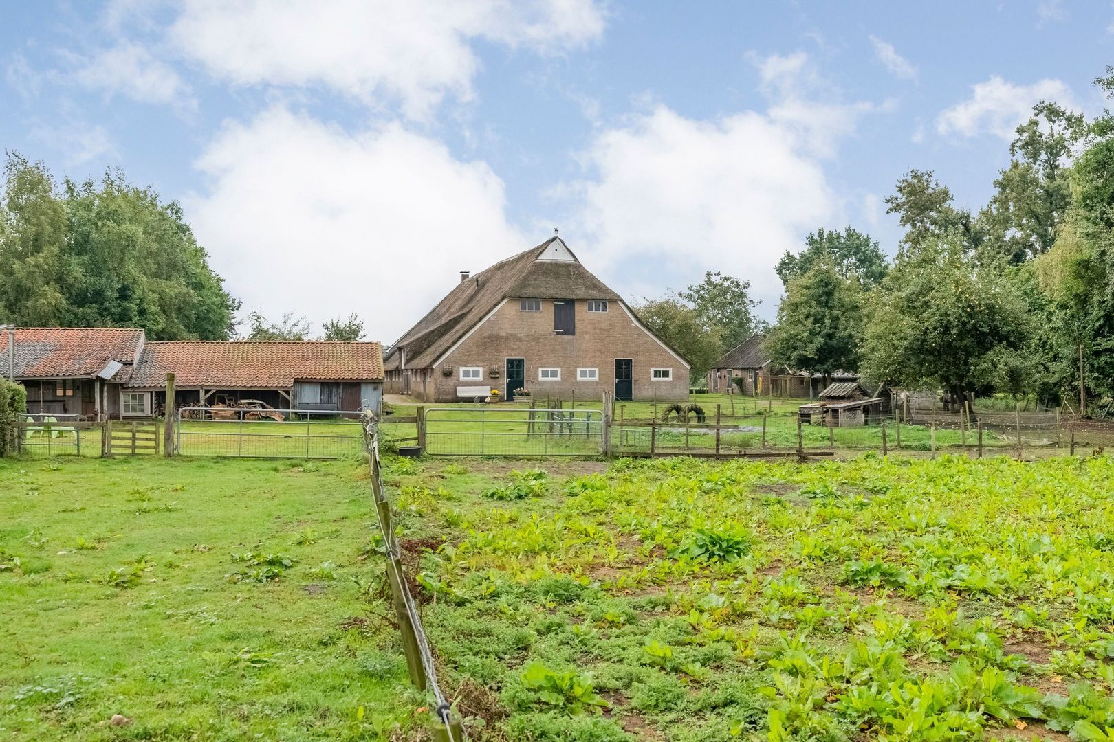 Dokter Larijweg 171, Ruinerwold foto-69