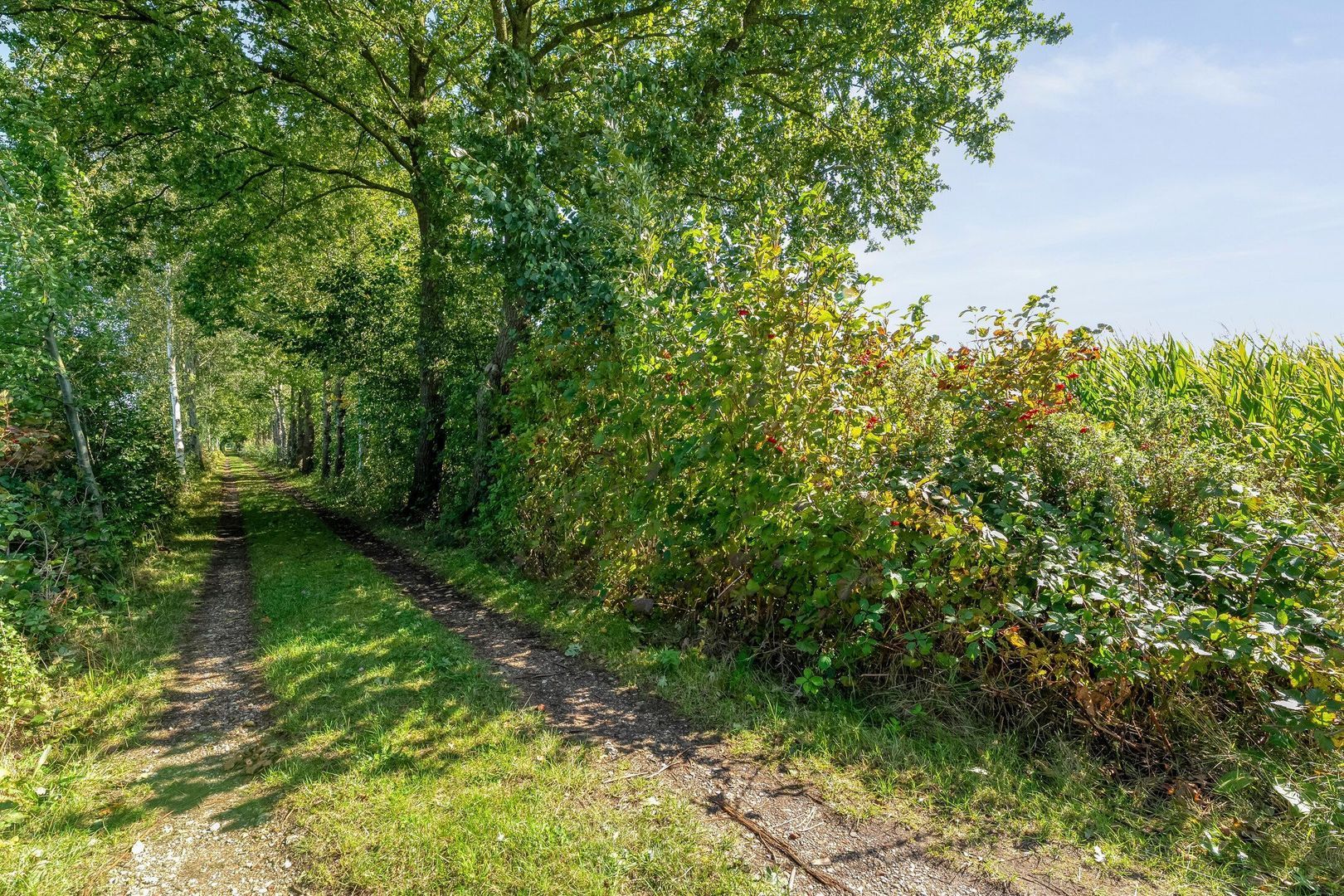 Stapelerveldweg 12, De Wijk foto-48