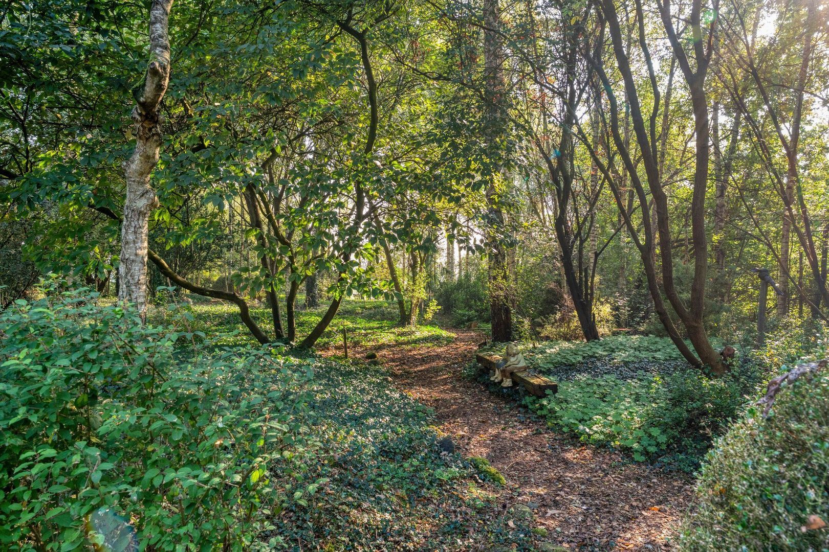 Ommerweg 41, Zuidwolde foto-81