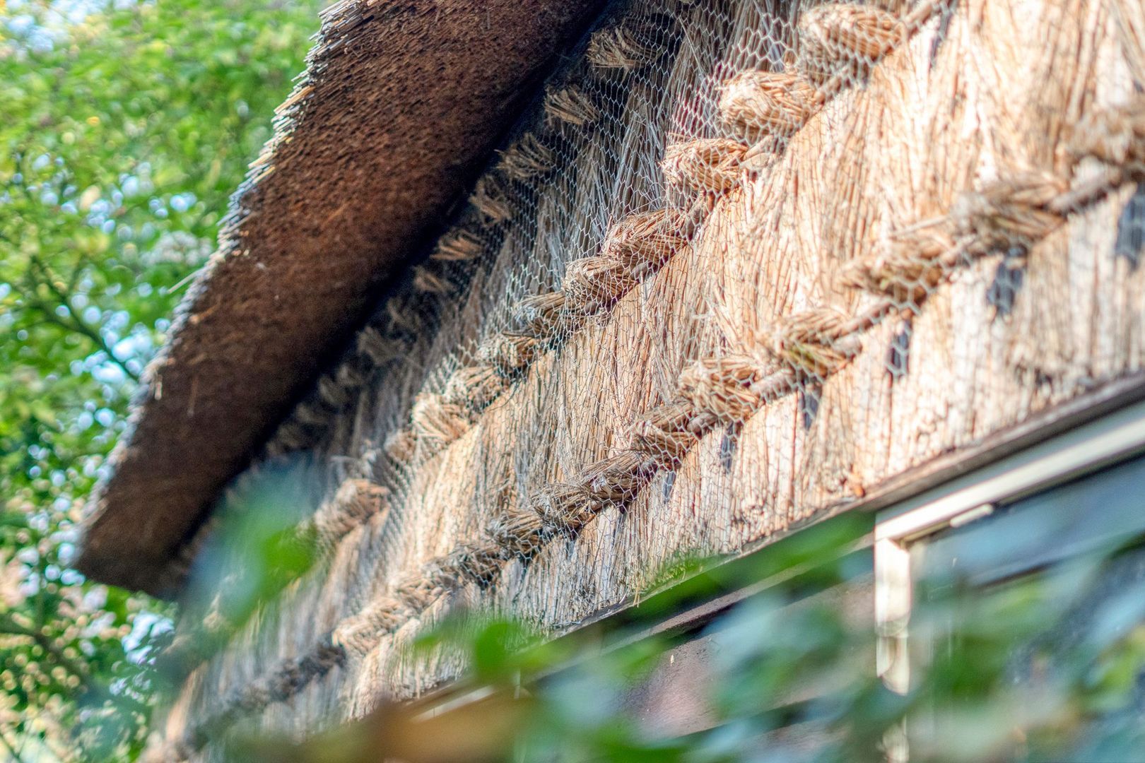 Ommerweg 41, Zuidwolde foto-9