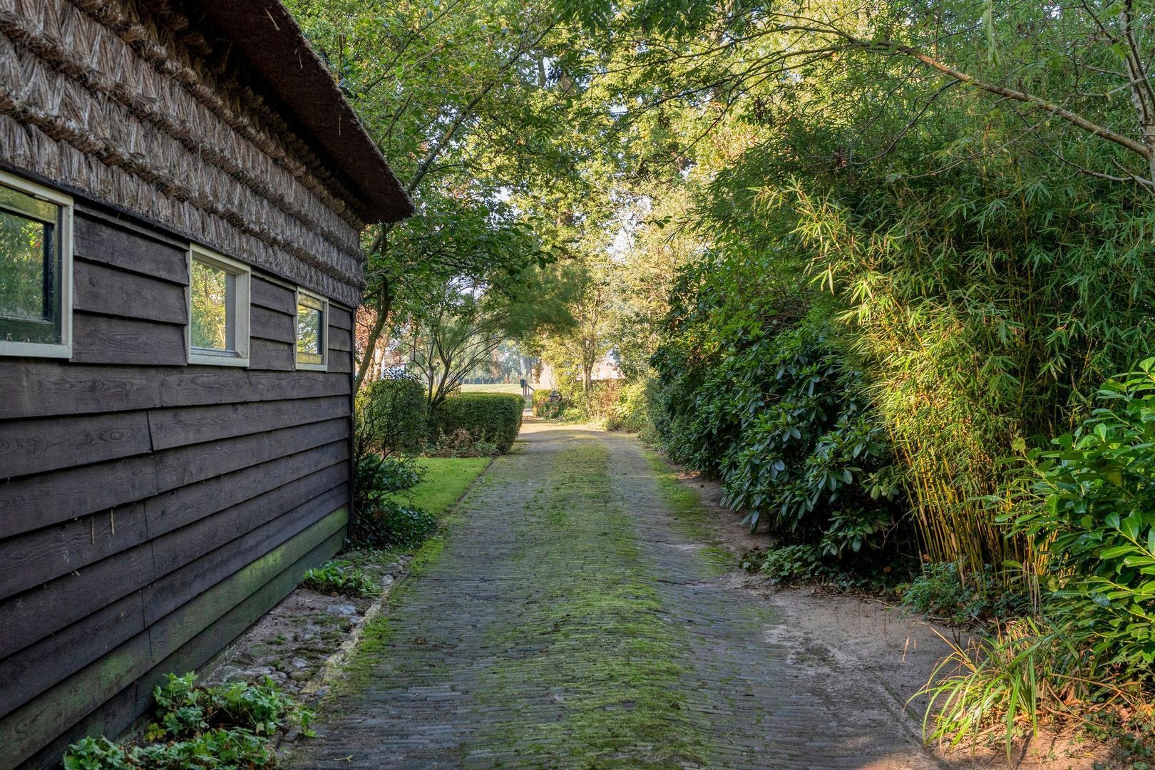 Ommerweg 41, Zuidwolde foto-12