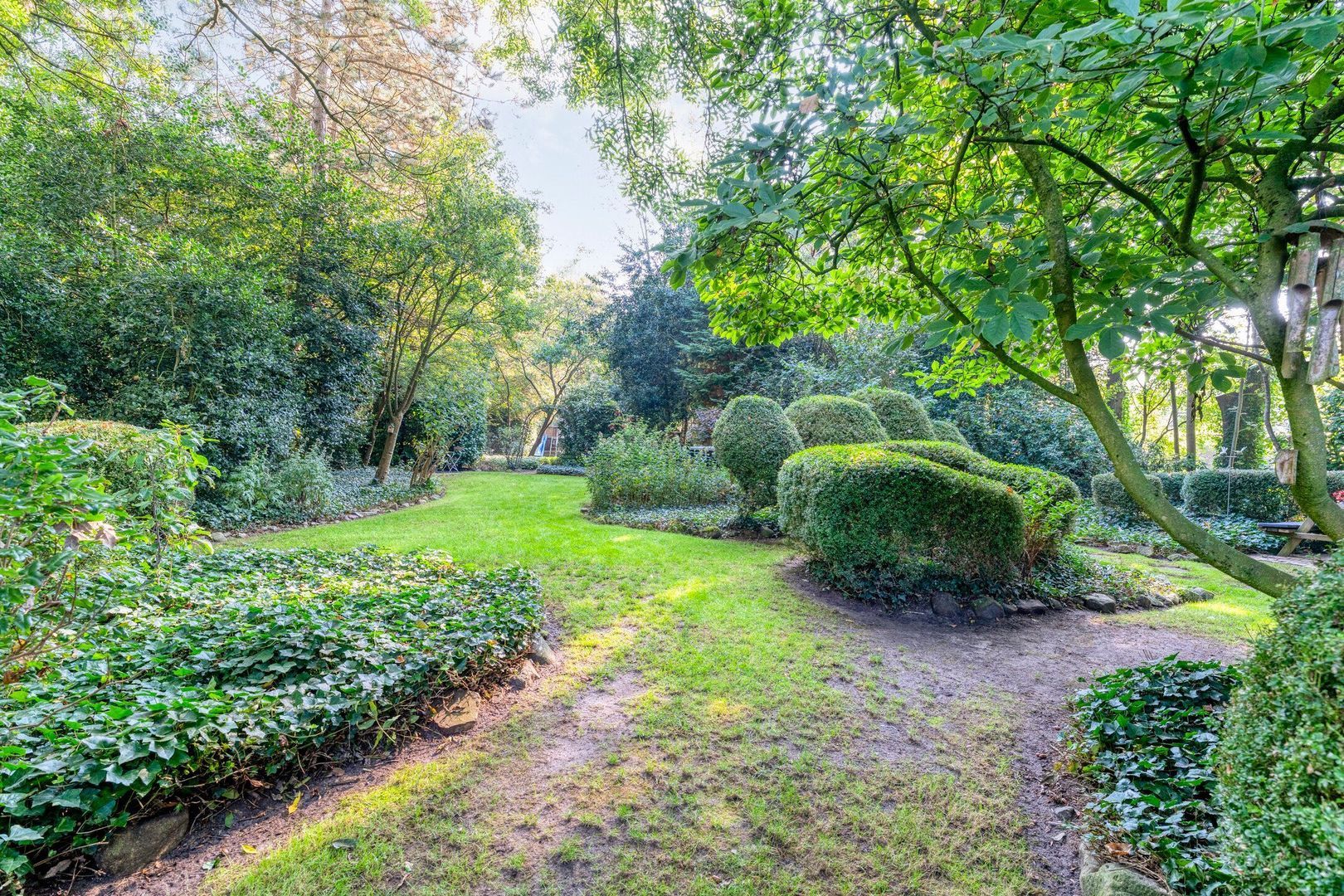 Ommerweg 41, Zuidwolde foto-70