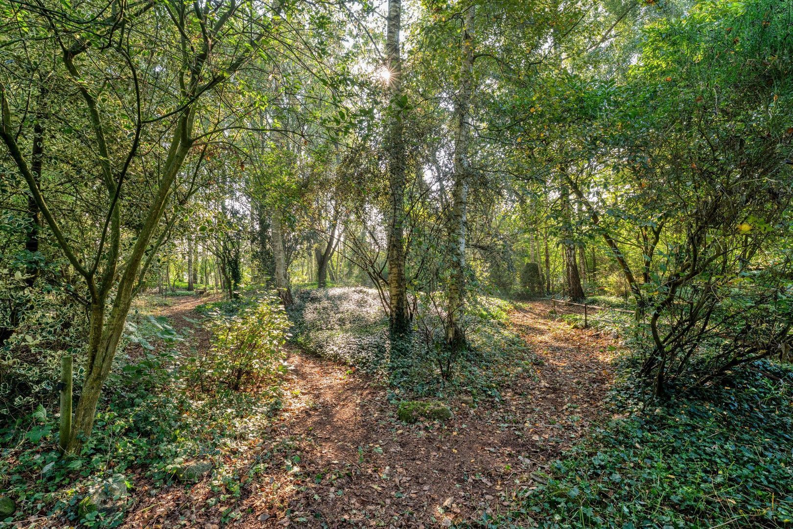 Ommerweg 41, Zuidwolde foto-82