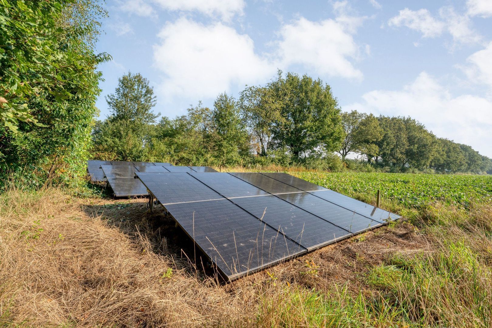 Ommerweg 41, Zuidwolde foto-83