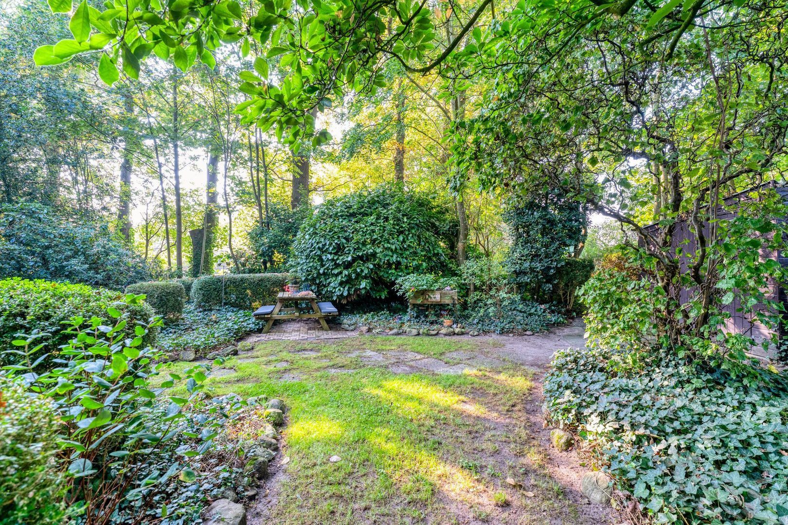 Ommerweg 41, Zuidwolde foto-71