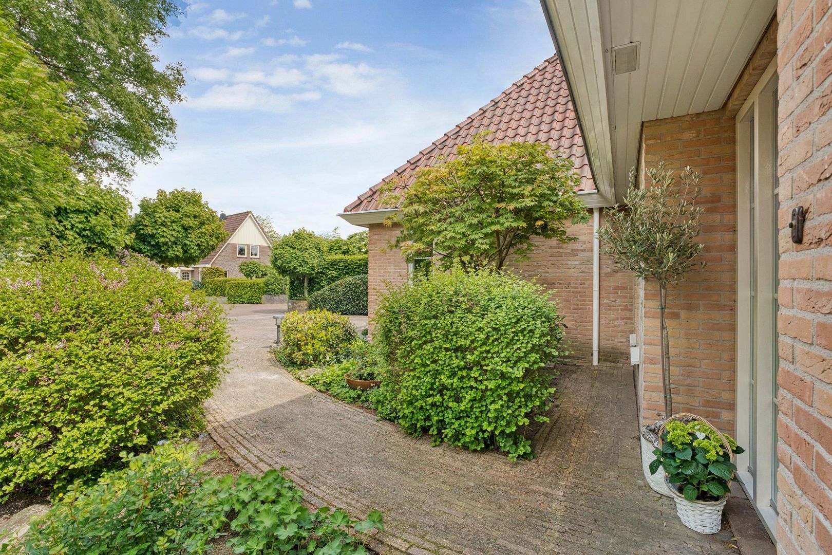 Het eenspan 12, Steenwijk foto-19