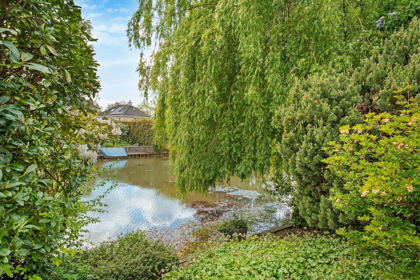 Het eenspan 12, Steenwijk foto-78