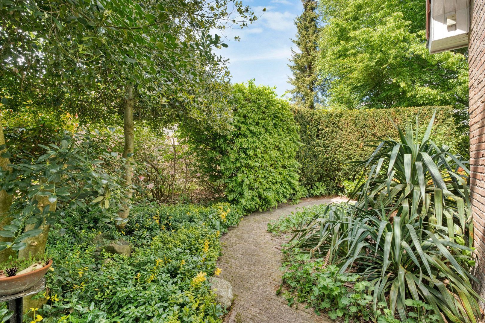 Het eenspan 12, Steenwijk foto-23