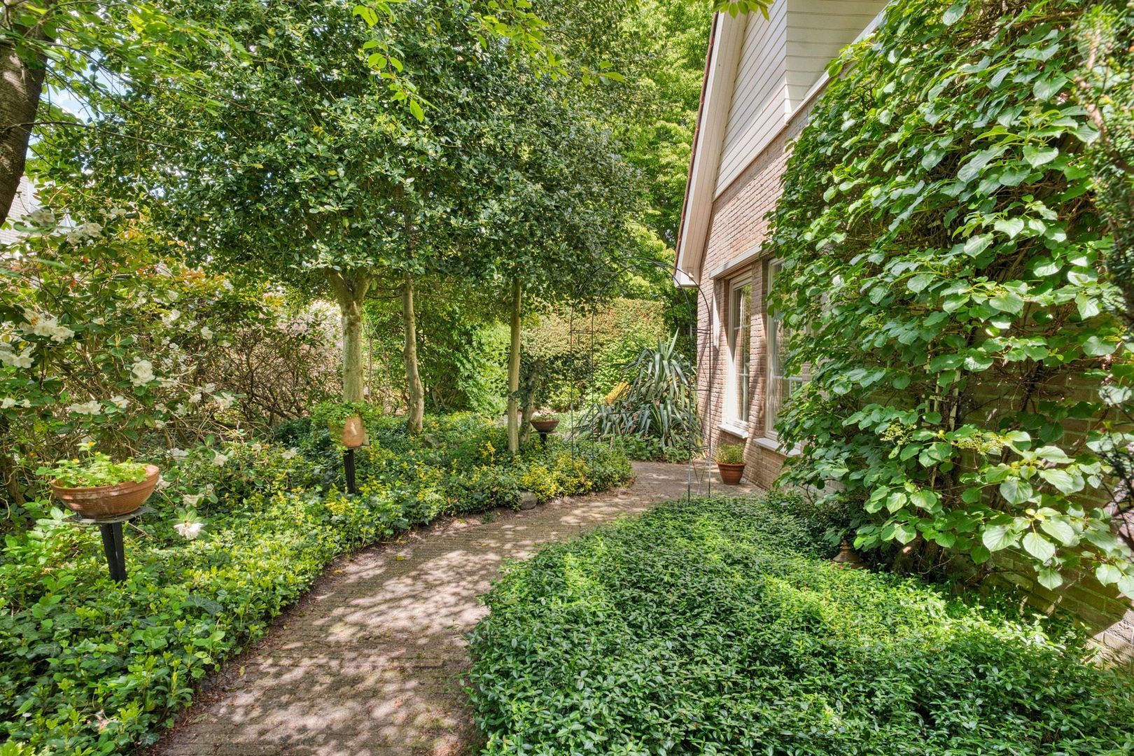 Het eenspan 12, Steenwijk foto-24