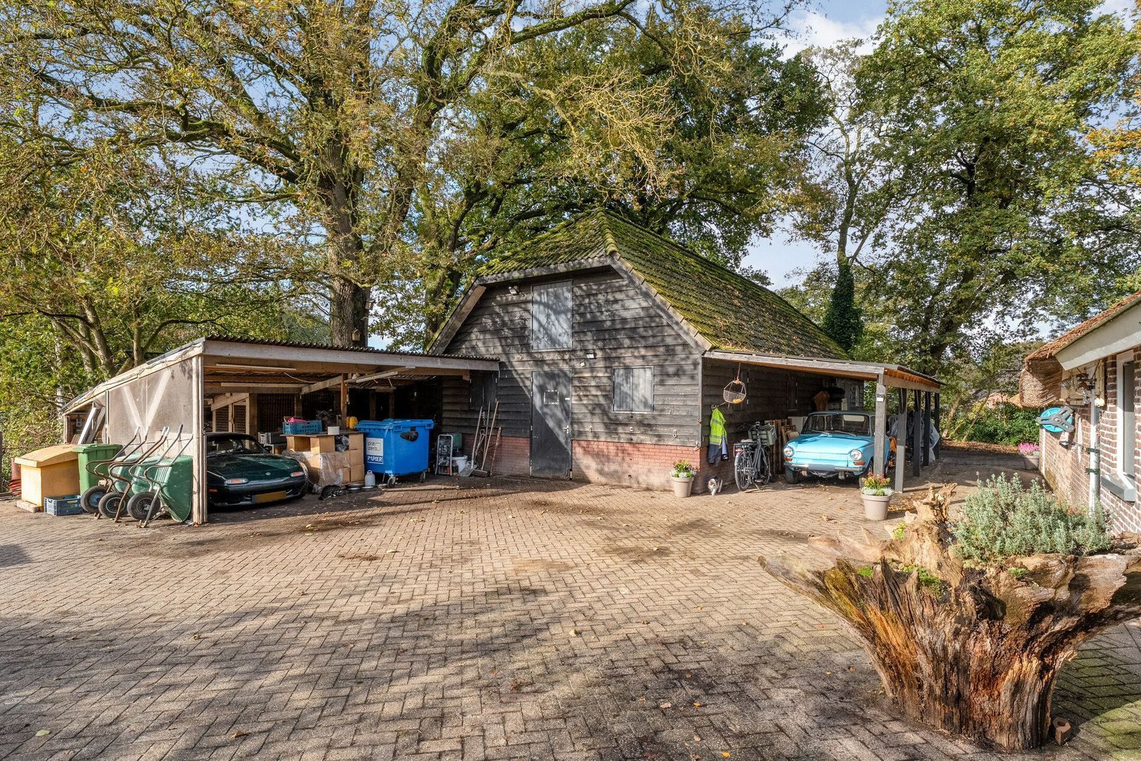 Armweide 5, Ruinen foto-42