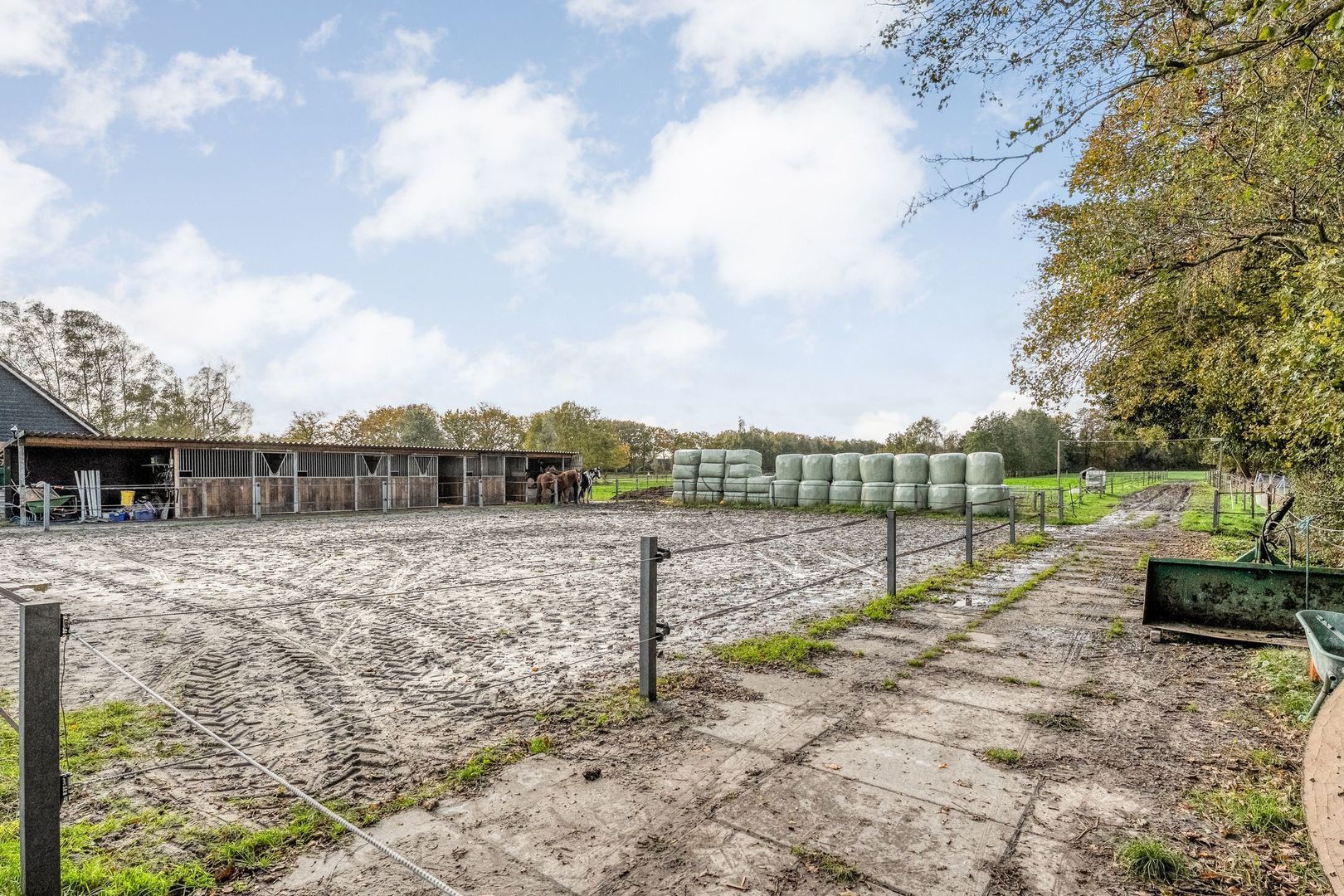 Armweide 5, Ruinen foto-49