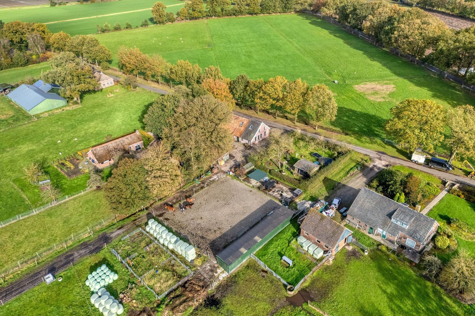 Armweide 5, Ruinen foto-6