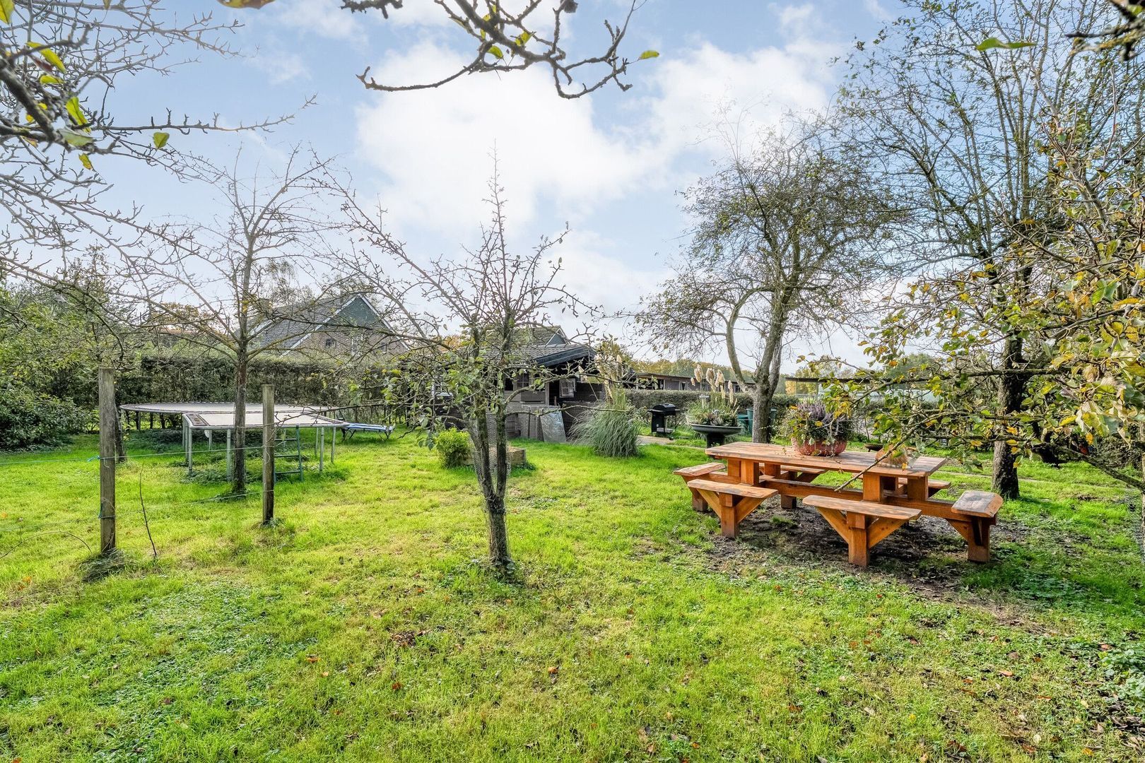 Armweide 5, Ruinen foto-47