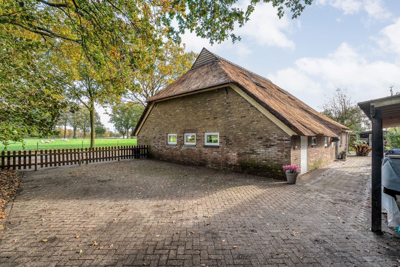 Armweide 5, Ruinen foto-45