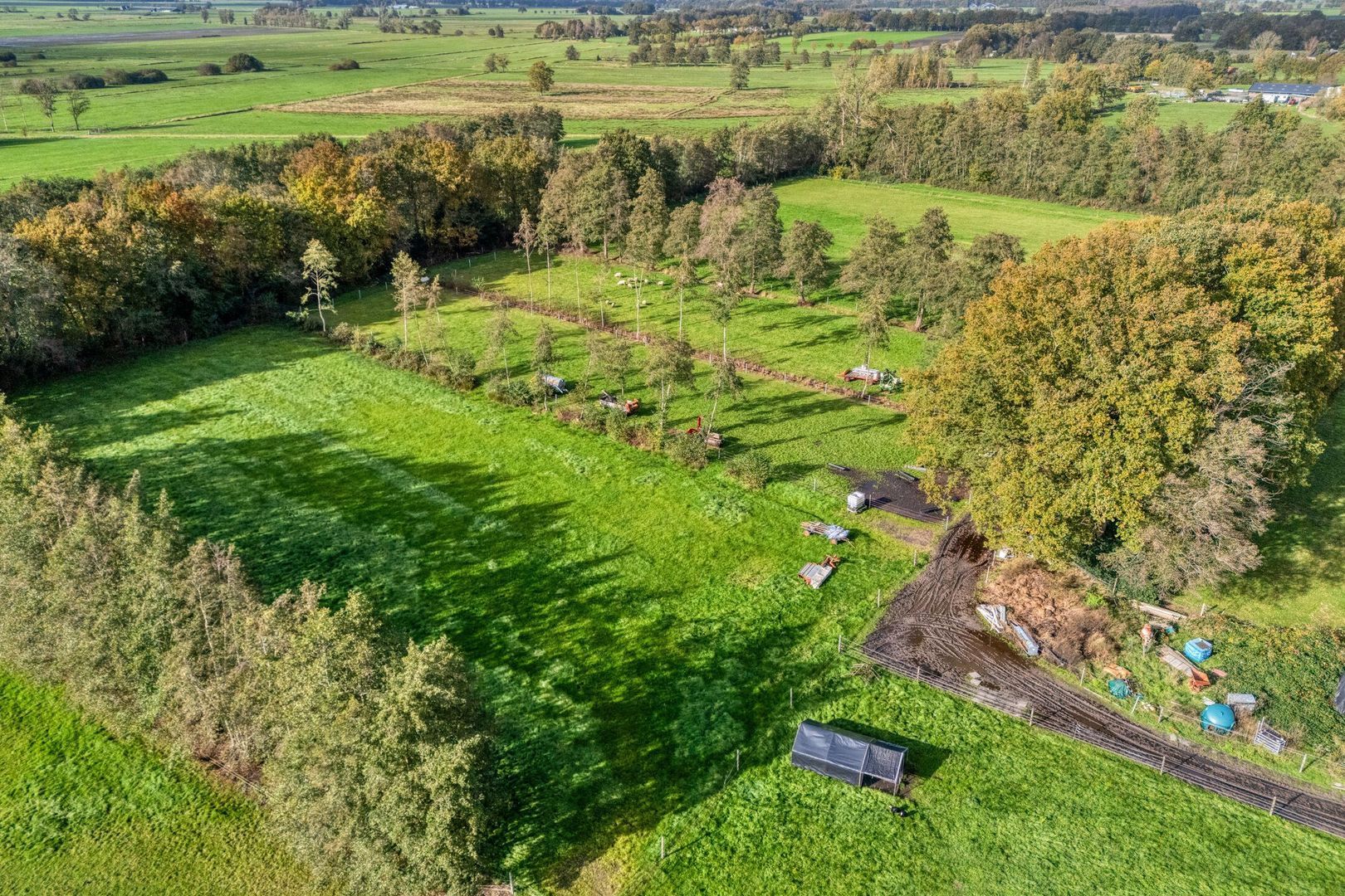 Armweide 5, Ruinen foto-51