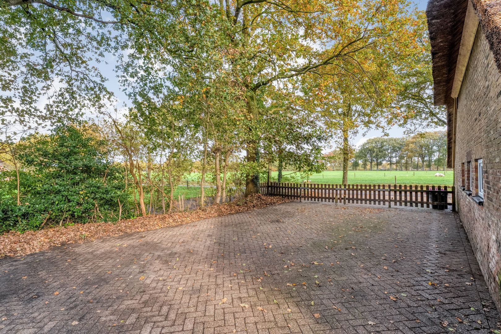 Armweide 5, Ruinen foto-44