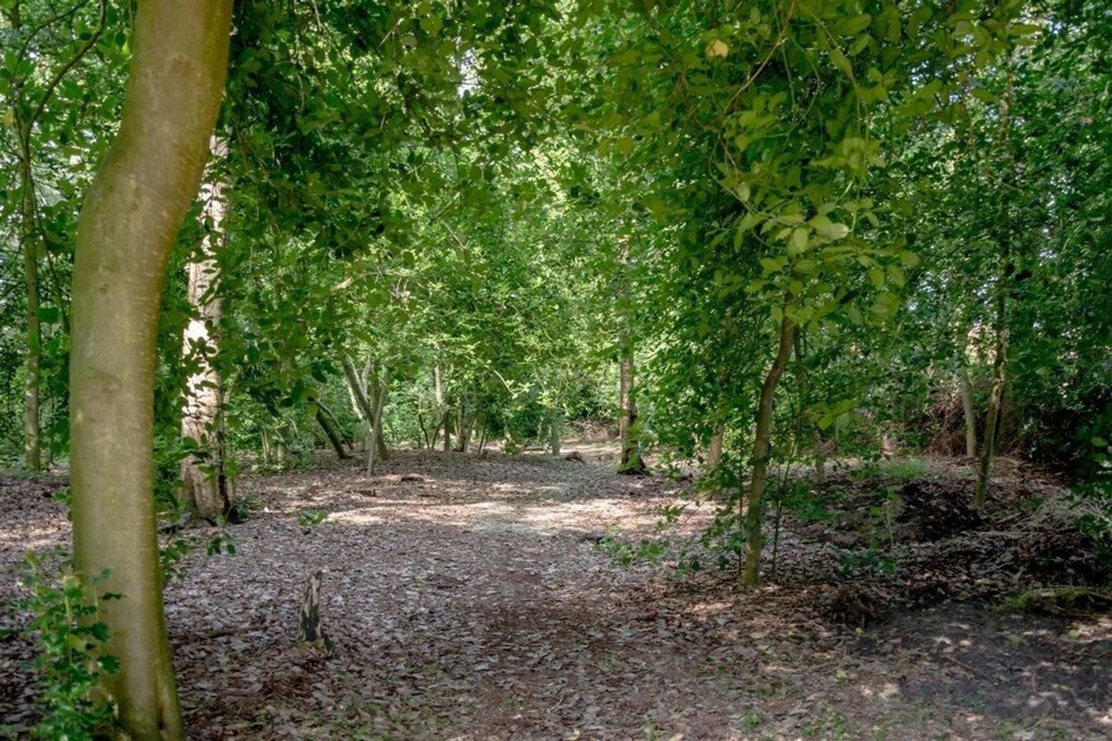 Midden 126, Wapserveen foto-99