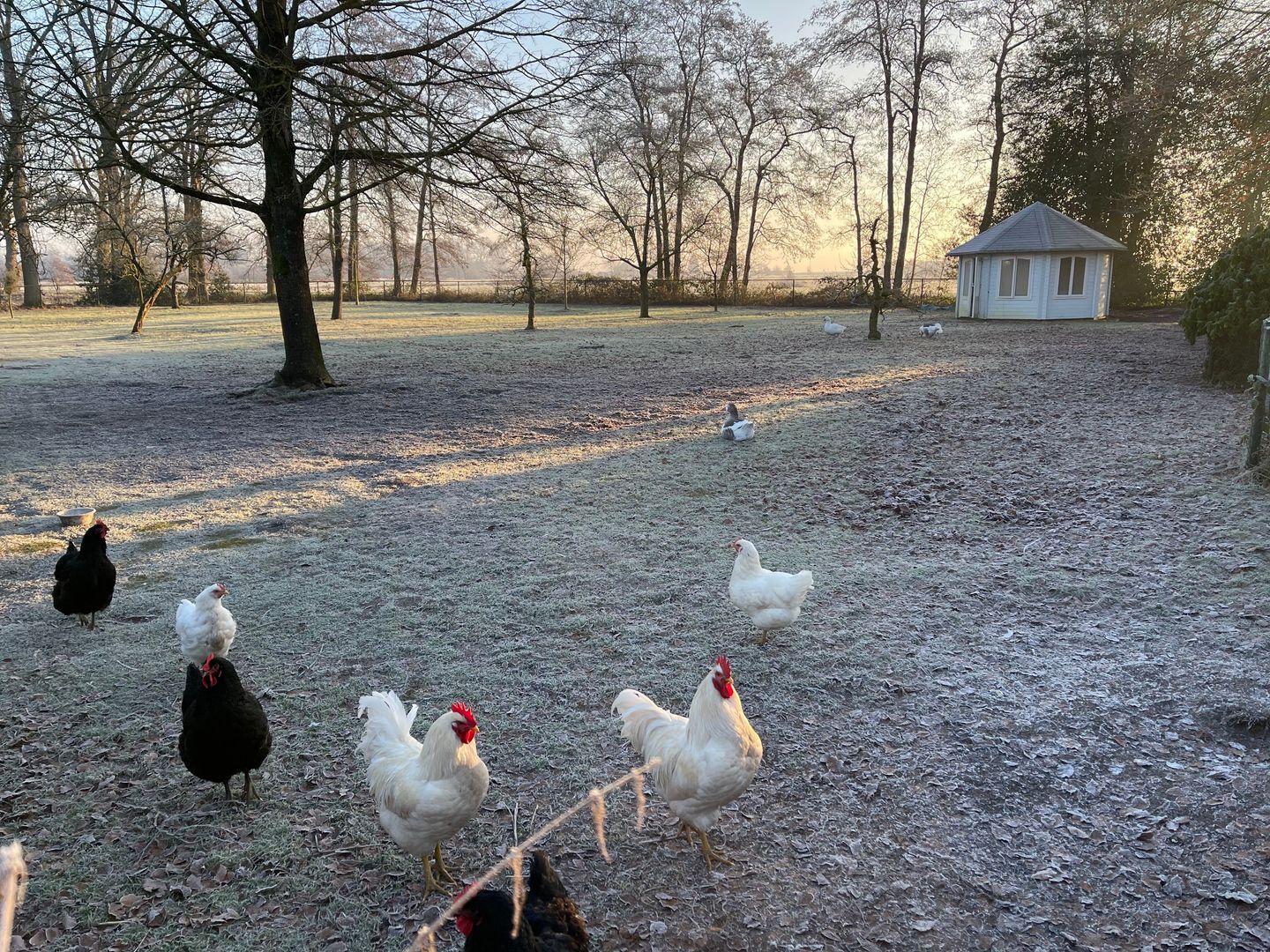 Binnenweg 3, Eesveen foto-86