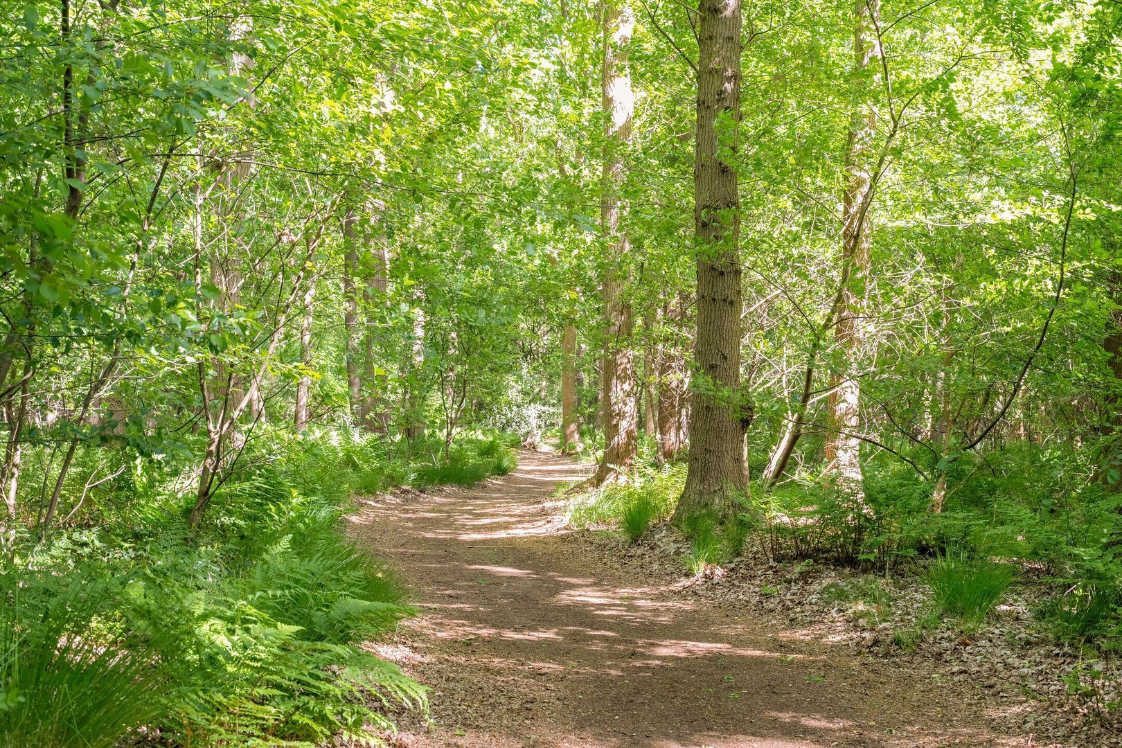 Binnenweg 3, Eesveen foto-83
