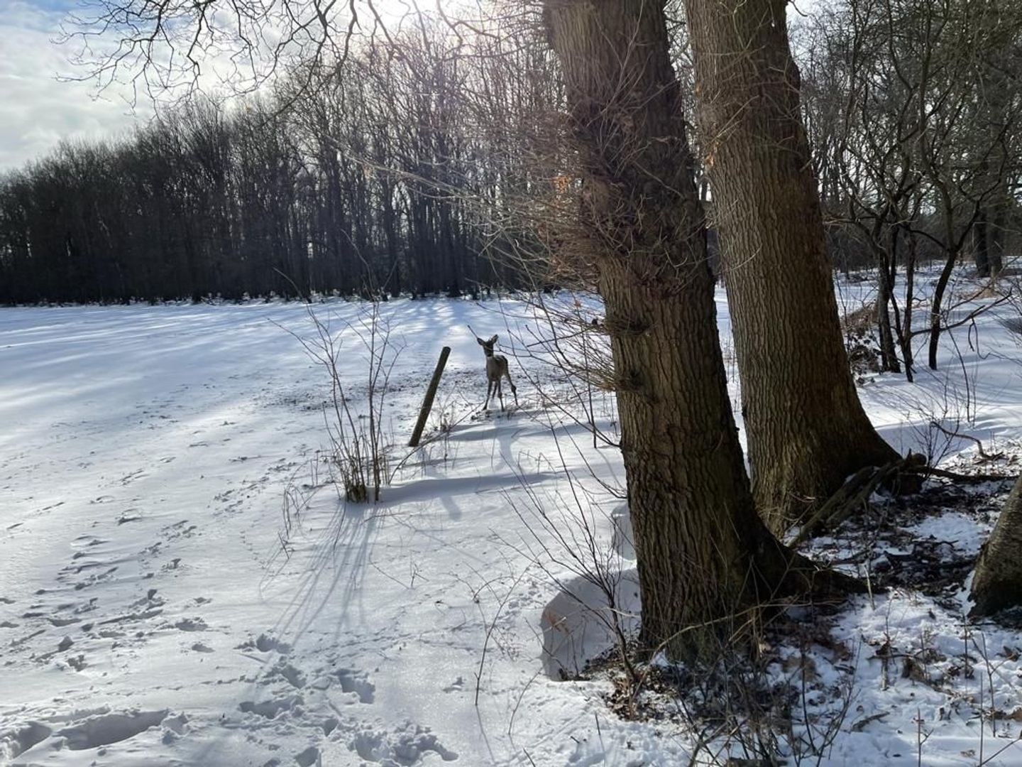 Binnenweg 3, Eesveen foto-87