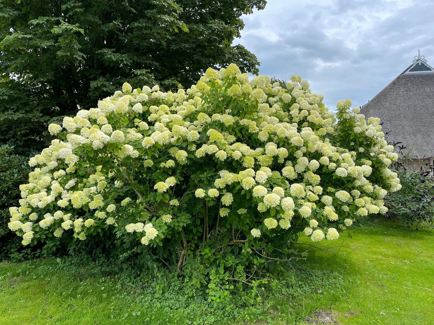 Binnenweg 3, Eesveen foto-77