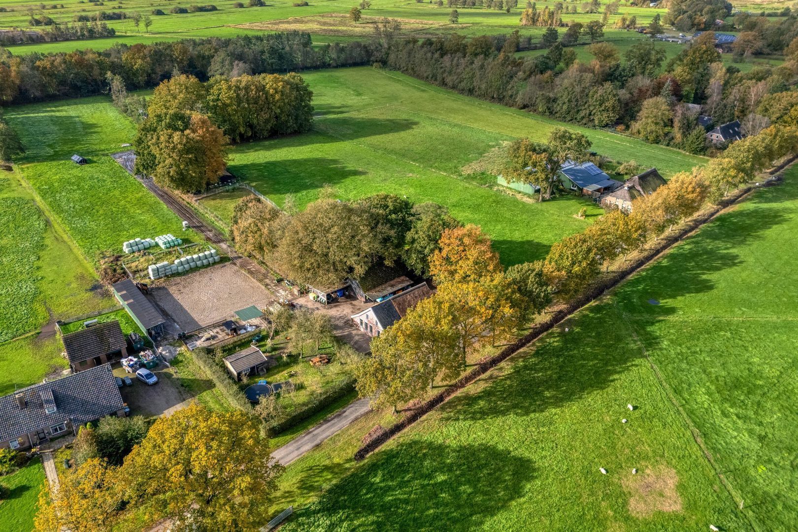 Armweide 5, Ruinen foto-46