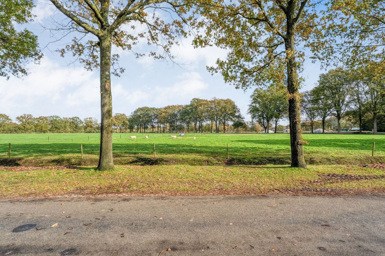 Armweide 5, Ruinen foto-49