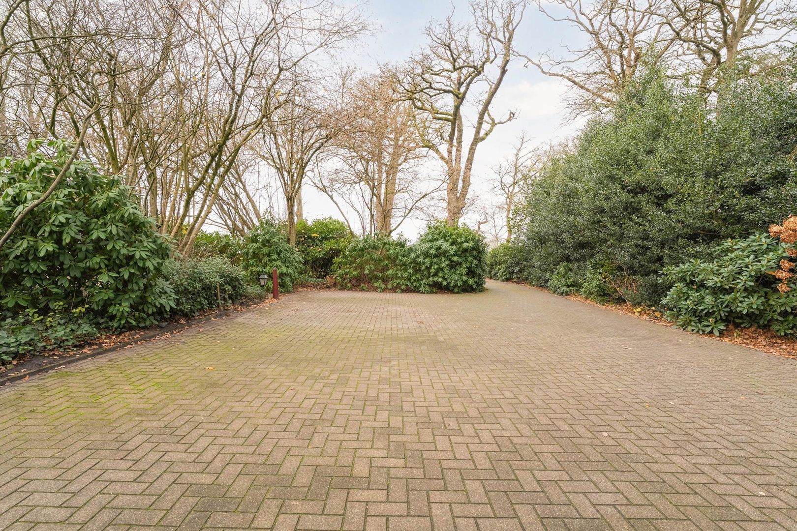 Midden 126, Wapserveen foto-77