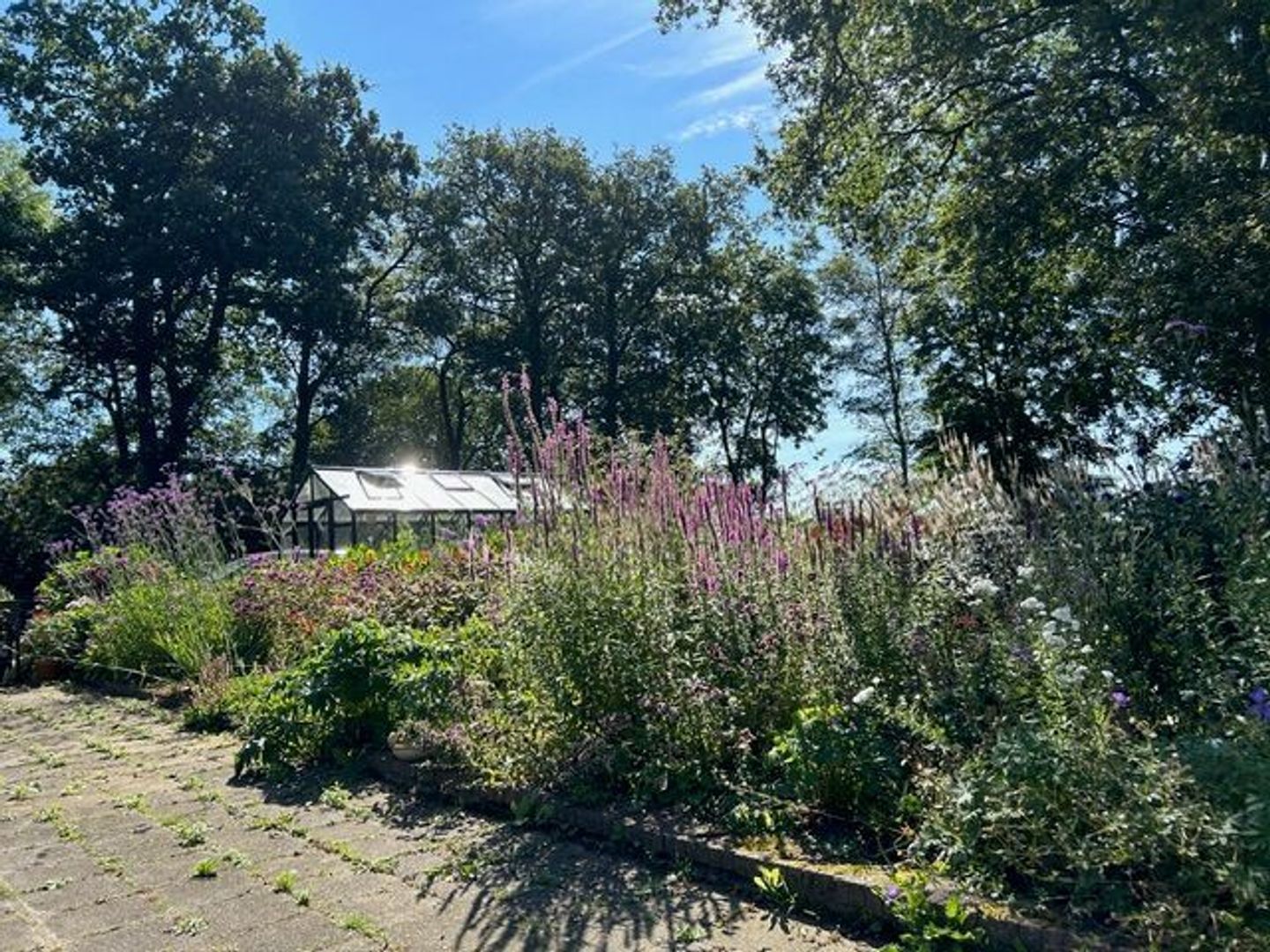 Midden 126, Wapserveen foto-97