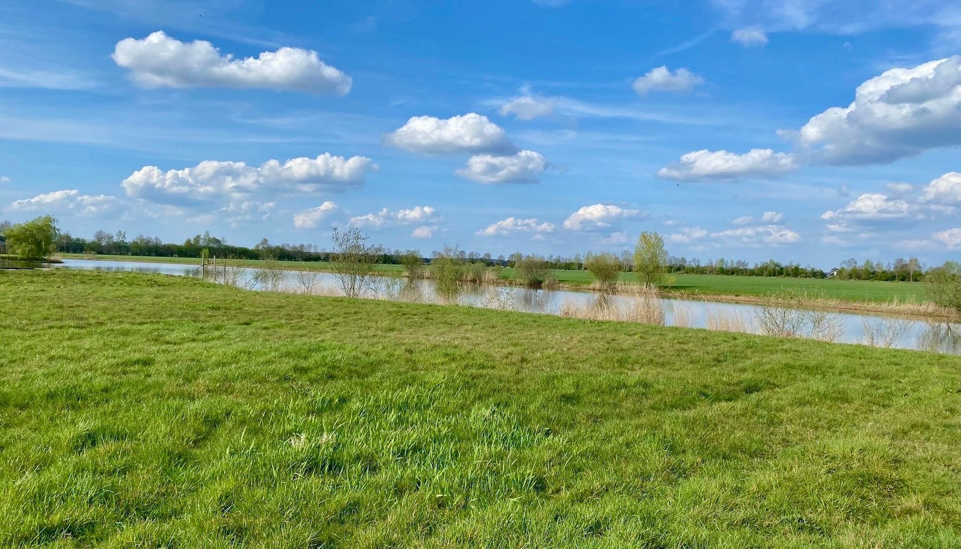 Aasingel 21, Steenwijk foto-25