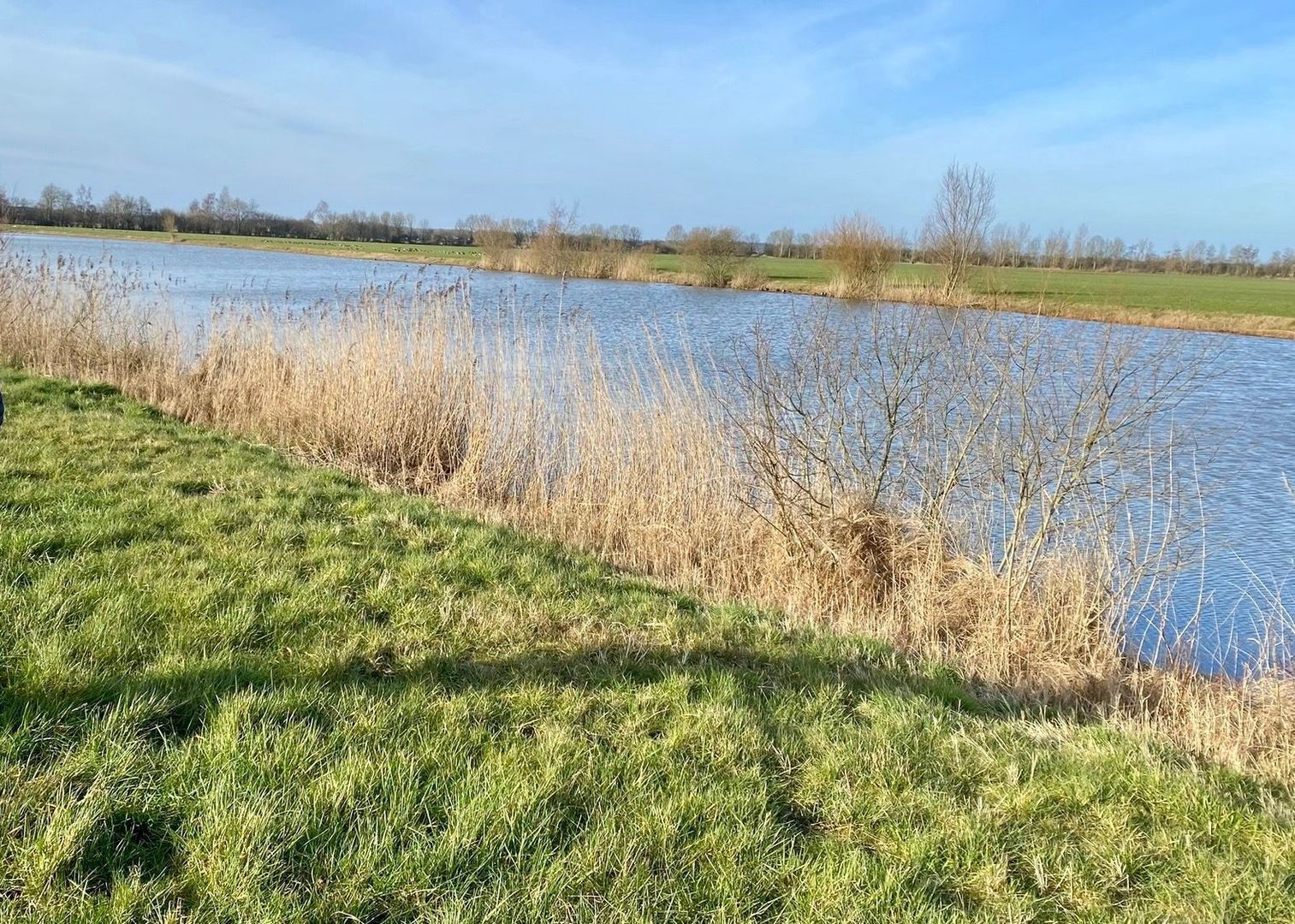 Aasingel 21, Steenwijk foto-24