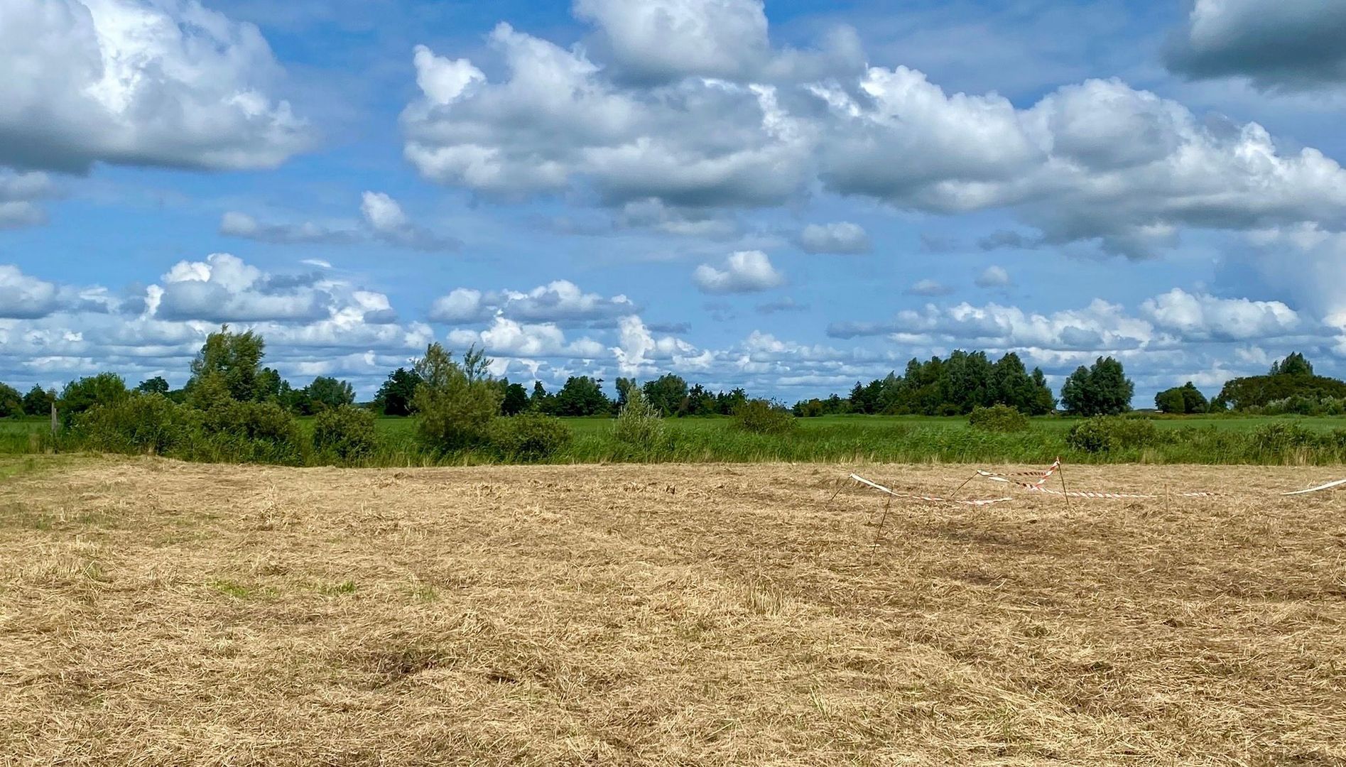 Aasingel 21, Steenwijk foto-27