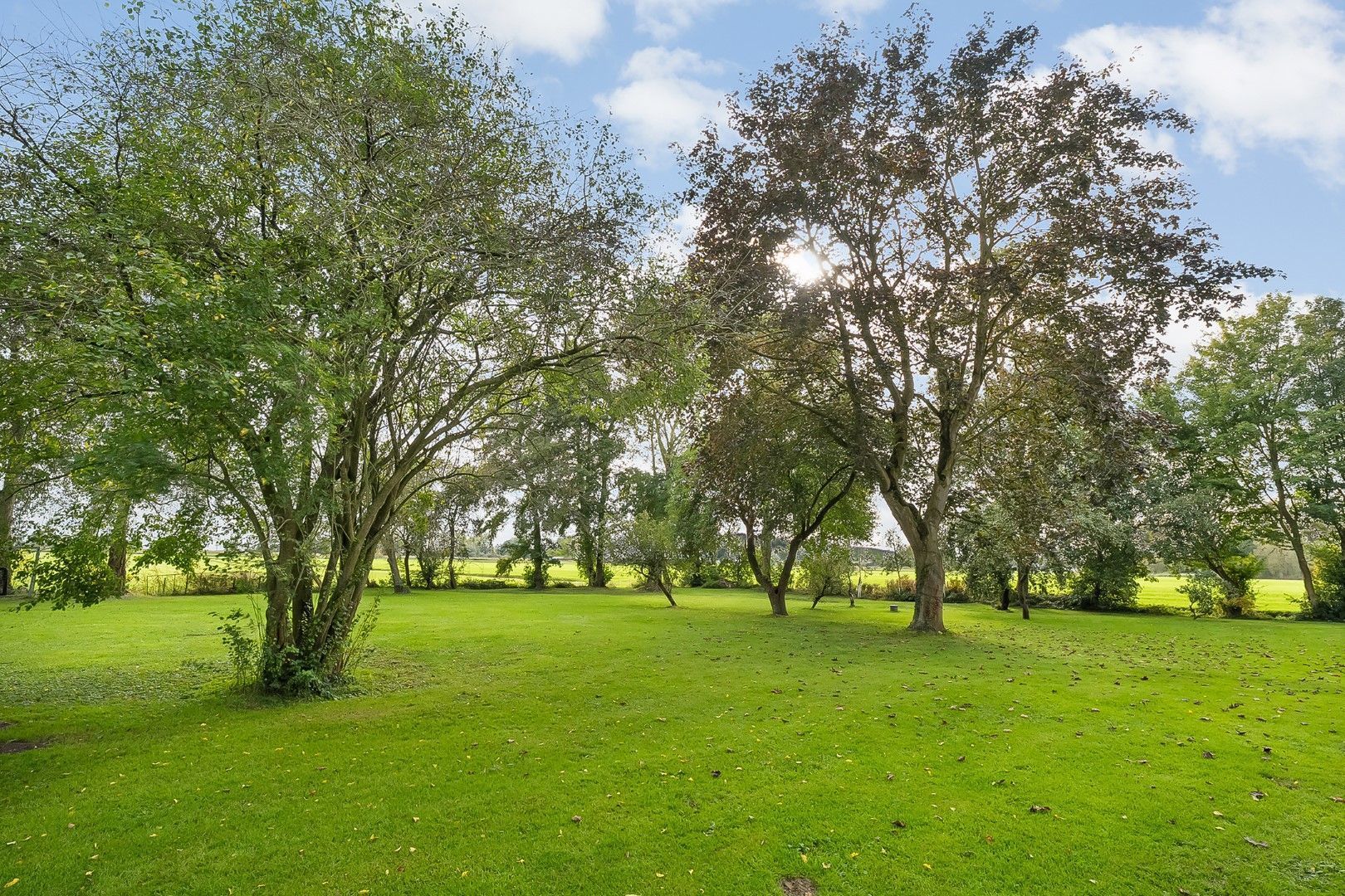 Kikkerij 1, Giethoorn foto-67