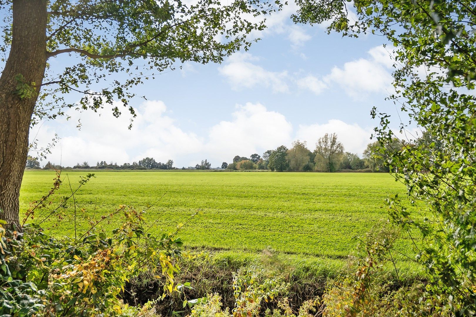 Kikkerij 1, Giethoorn foto-61
