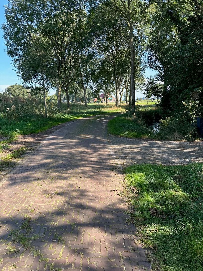 Kikkerij 1, Giethoorn foto-74