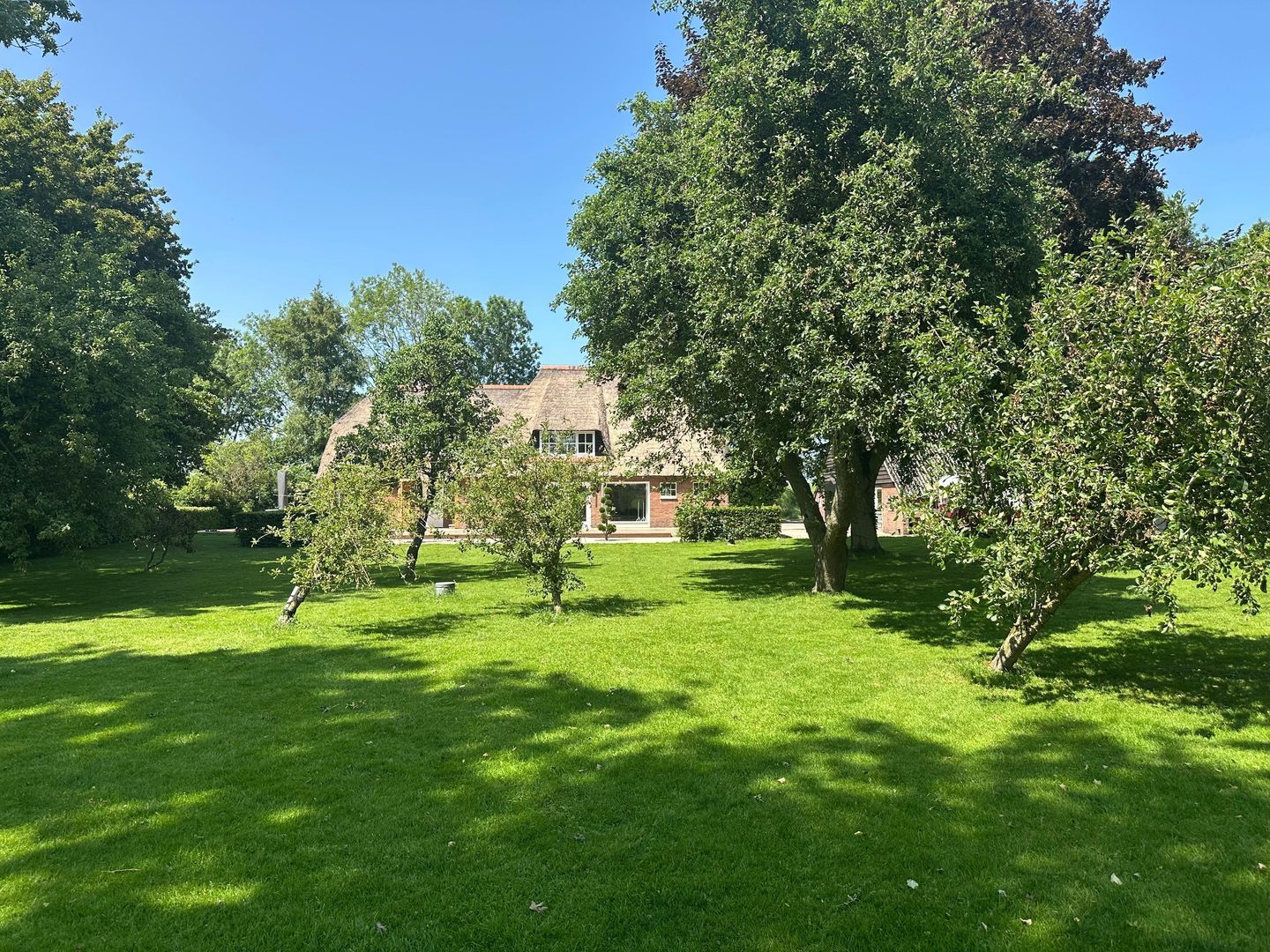 Kikkerij 1, Giethoorn foto-62