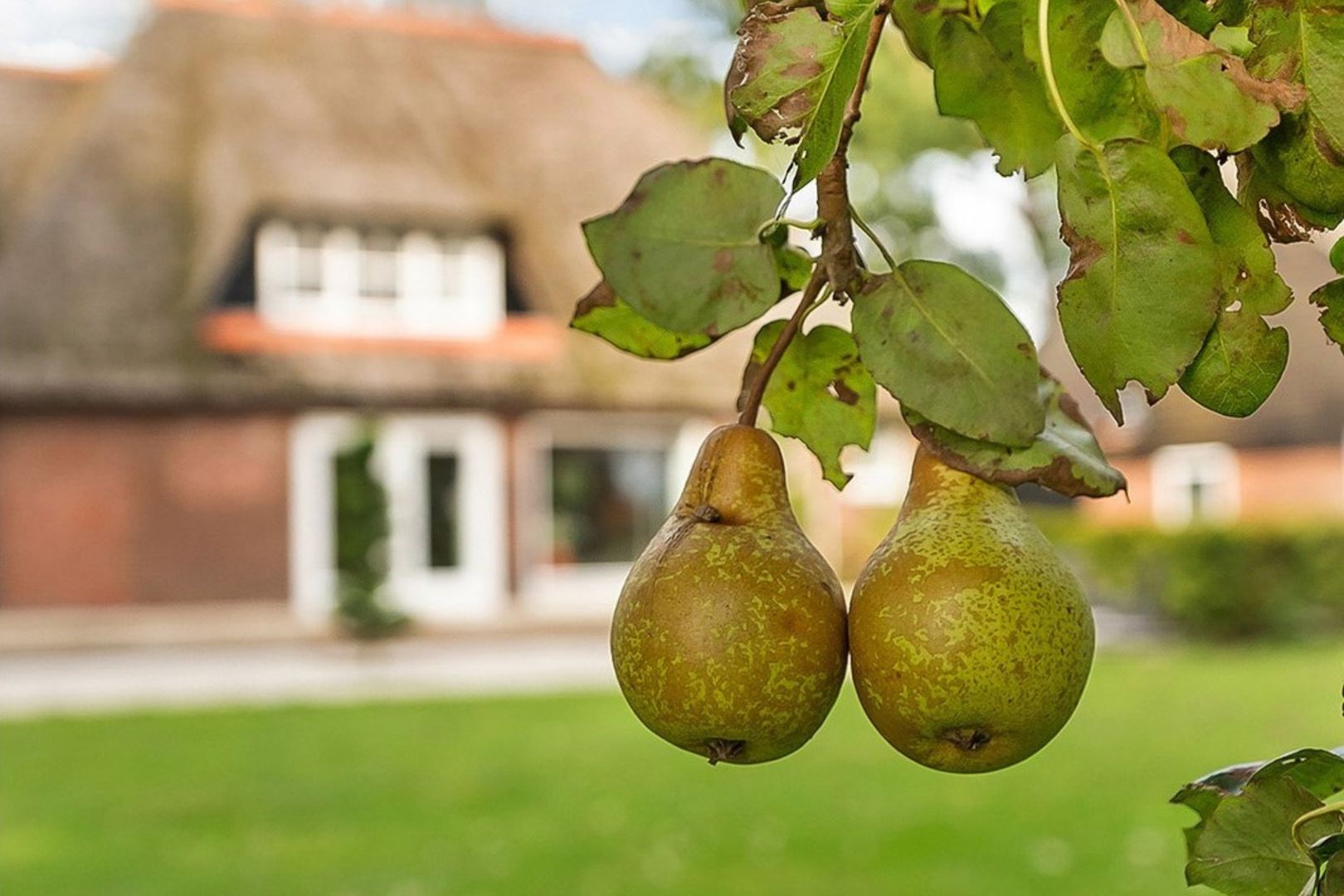 Kikkerij 1, Giethoorn foto-70