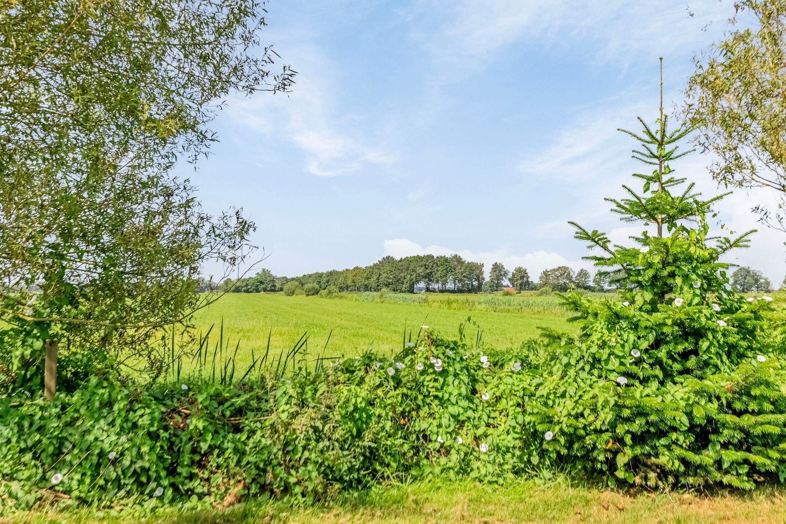 Riegshoogtendijk 176, Hollandscheveld foto-57