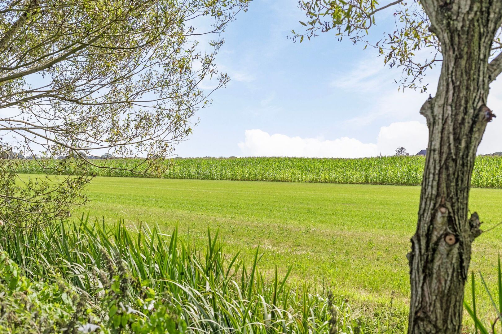 Riegshoogtendijk 176, Hollandscheveld foto-72