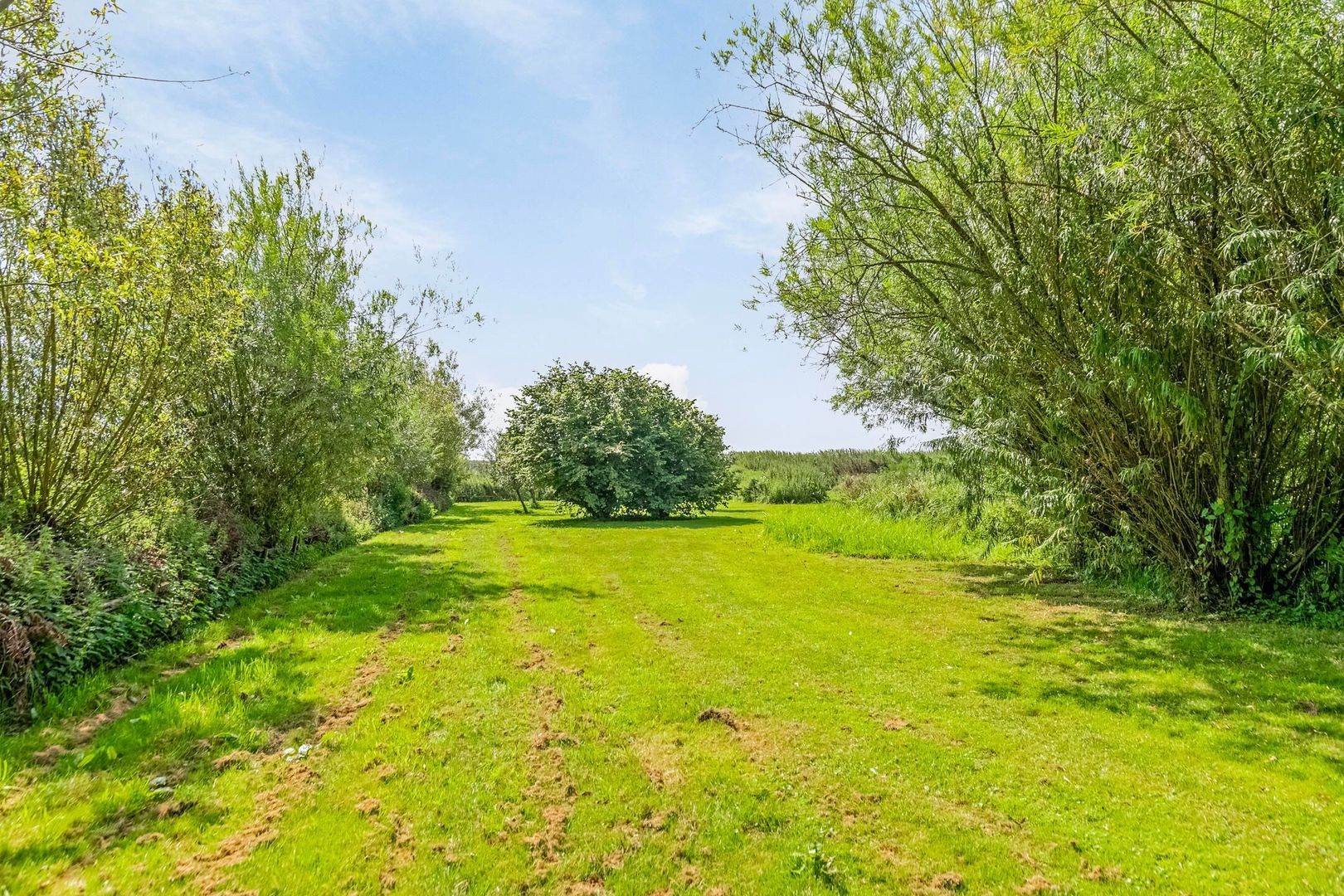 Riegshoogtendijk 176, Hollandscheveld foto-62