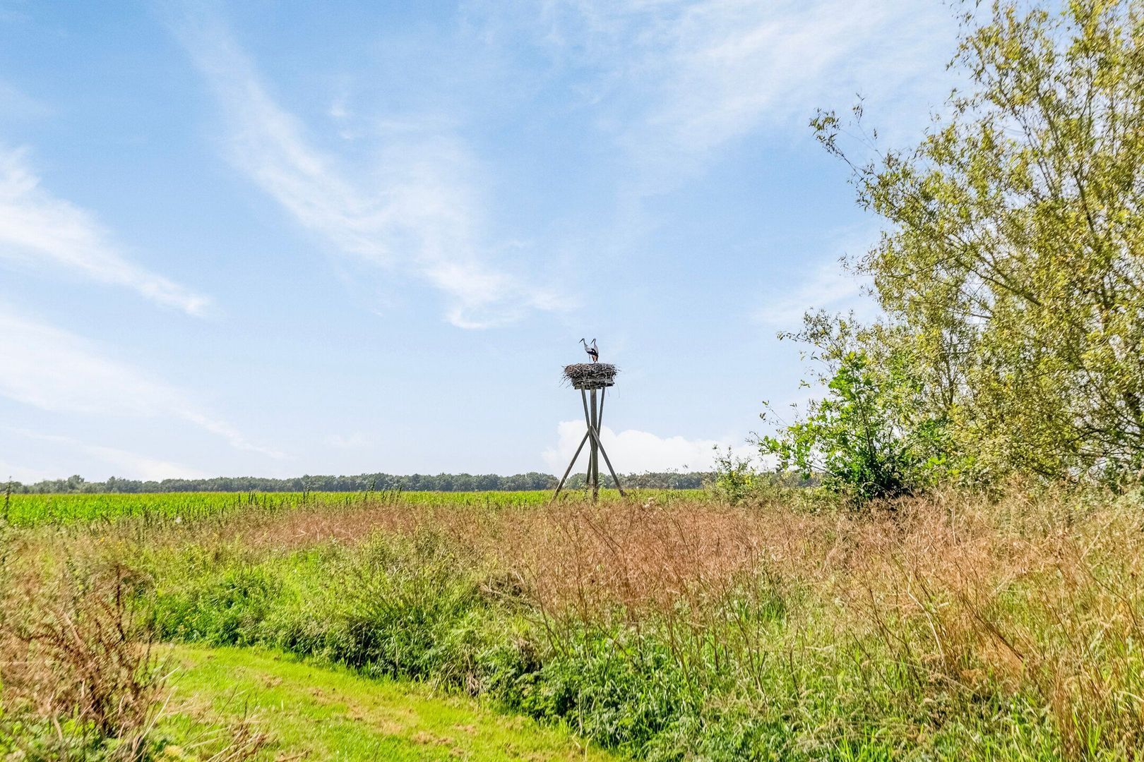 Riegshoogtendijk 176, Hollandscheveld foto-58