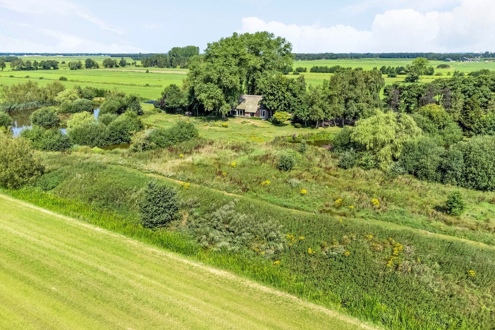 Riegshoogtendijk 176, Hollandscheveld foto-75