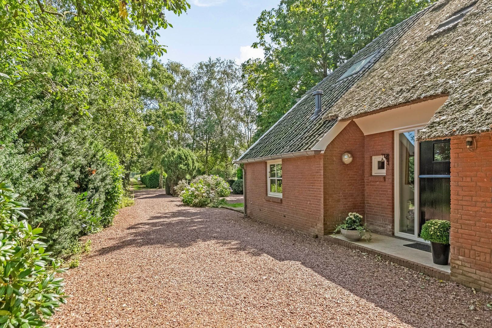 Riegshoogtendijk 176, Hollandscheveld foto-12