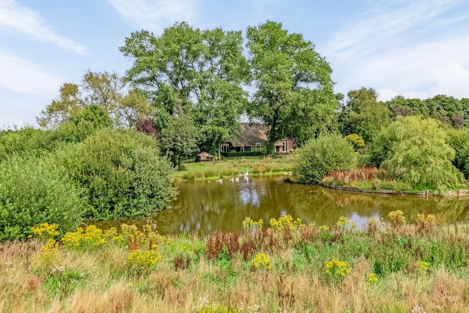 Riegshoogtendijk 176, Hollandscheveld foto-70