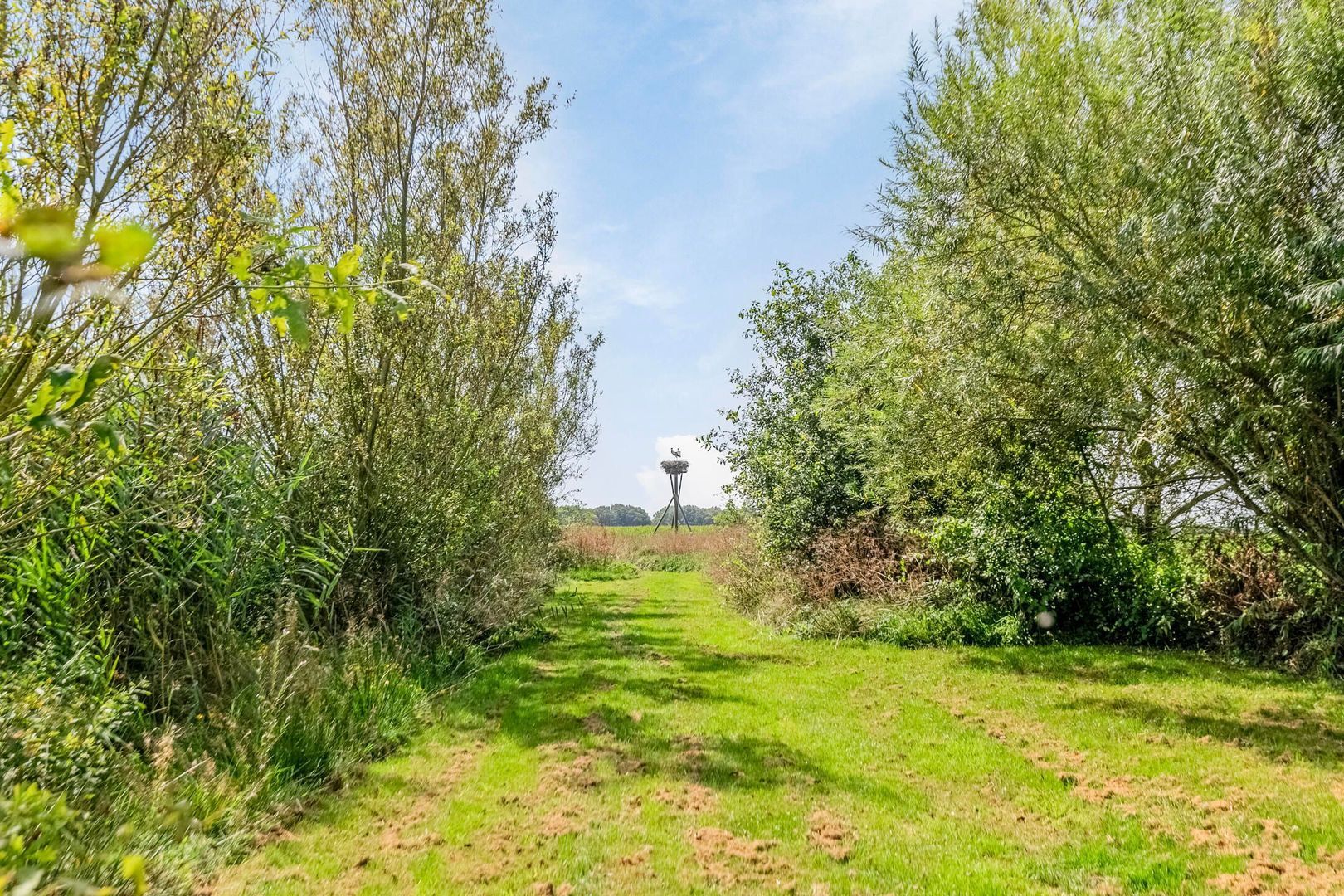 Riegshoogtendijk 176, Hollandscheveld foto-56